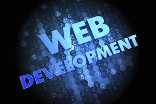 數(shù)字時代的黃金賽道 為何計算機軟件開發(fā)仍是“最有前途”的專業(yè)之選？